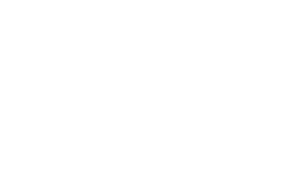 Fido Cinematic Video Production Company
